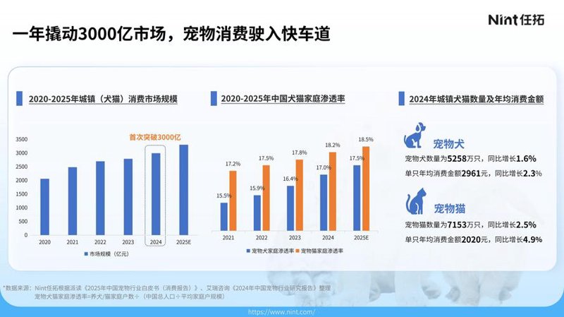 企业管理咨询：选择的指南